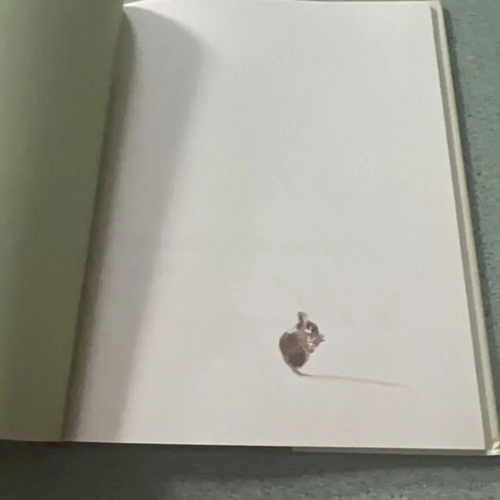 MICE‎ ARE NICE By Nancy Larrick - Hardcover  1990 Poems Art By Ed Young W/dust